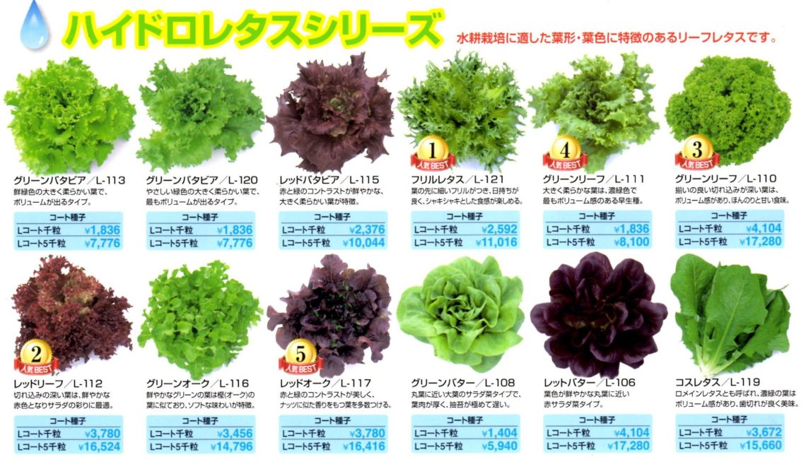 植物工場で使用する種子の種類や価格、保存方法などの注意点